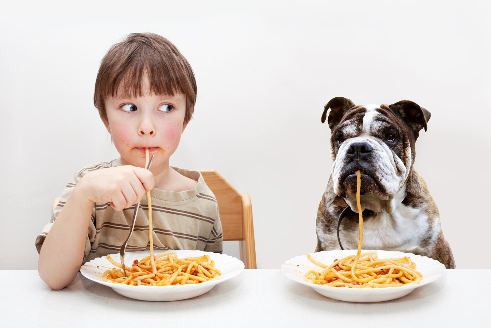 Can My Dog Eat This? A List of Human Foods Dogs Can and Can't Eat